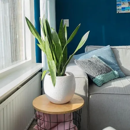 Holiday home Huis Duinzicht